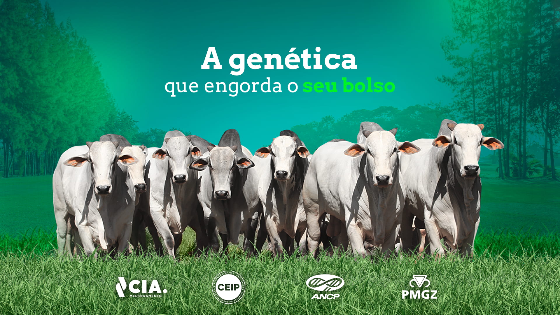 Genética 2024 OL Genética 2024 OL